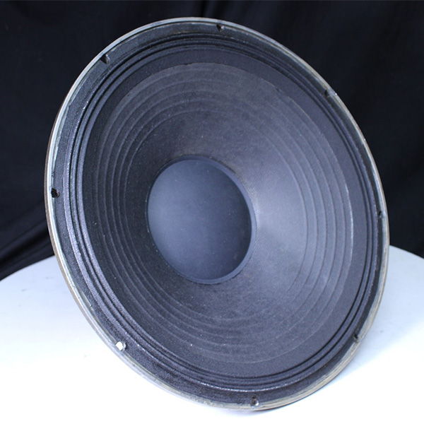 Electro-Voice SRO15